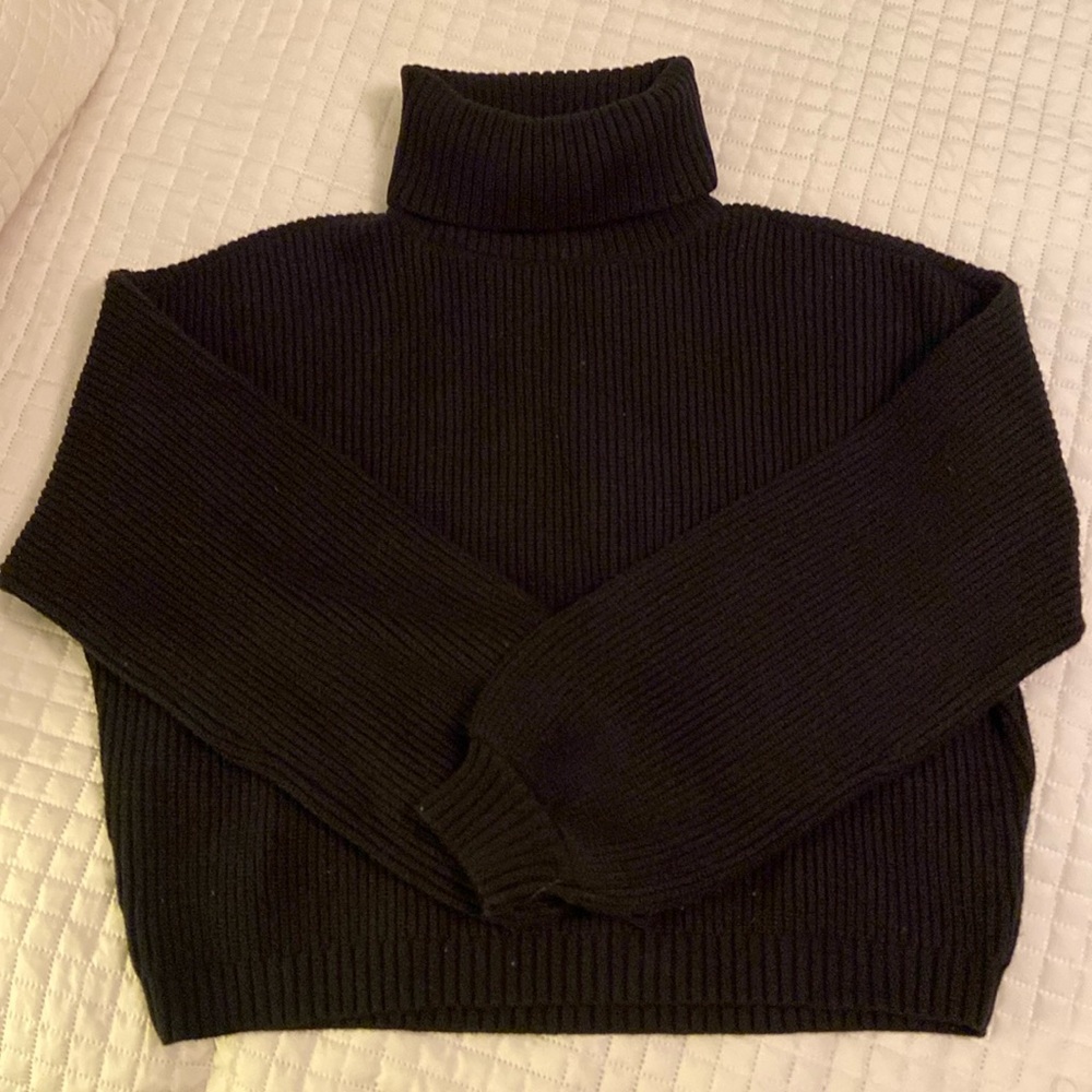 Chunky Turtleneck Sweater